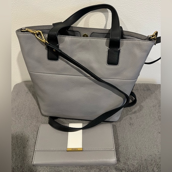 FOSSIL SET - Picture 6 of 8